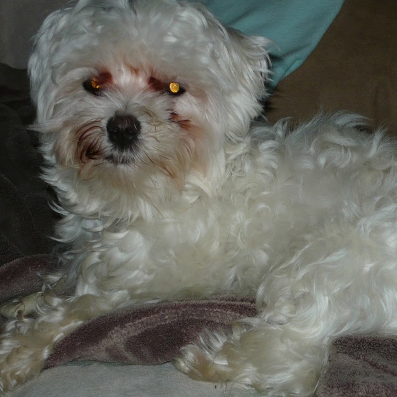 Meet your Posher, A - Picture 1 of 1